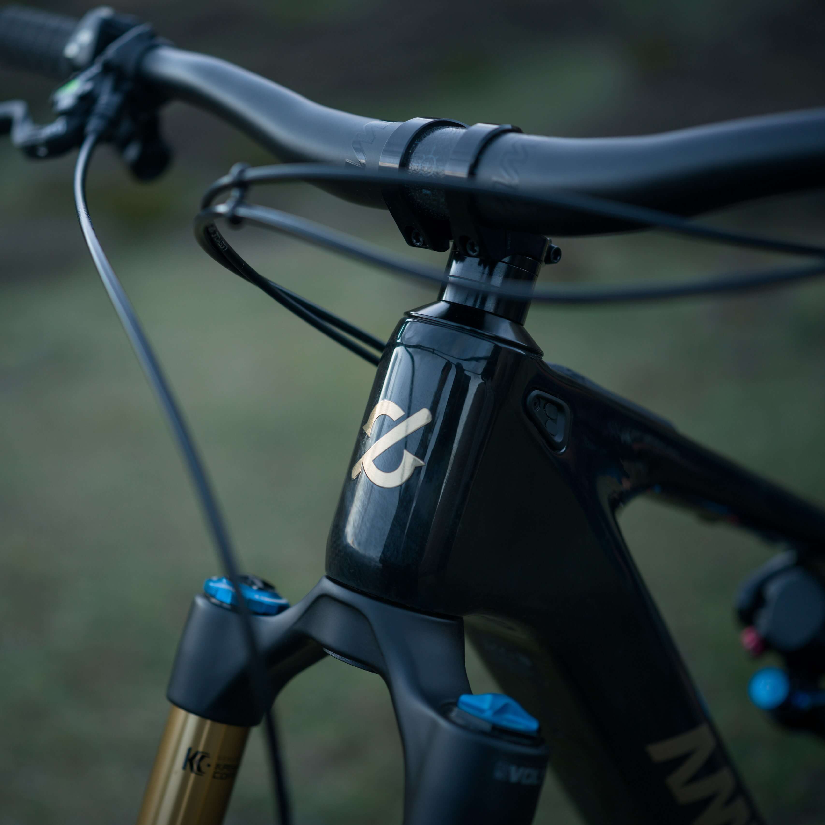 Amflow PL Carbon Pro 800Wh Electric Mountain Bike - Image 8