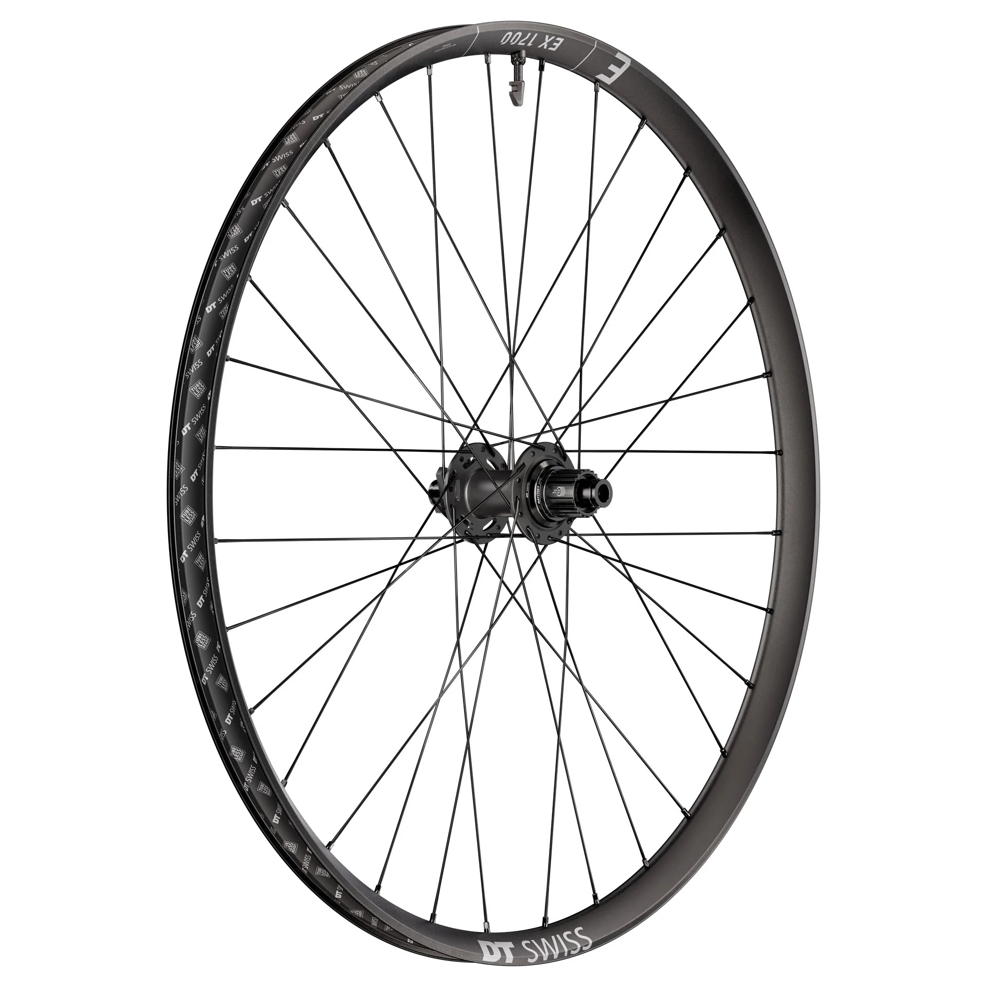 DT Swiss EX 1700 Classic 30 Rear Wheel - 29" 12 x 148mm 6-Bolt Micro Spline DEG 72 DF BLK