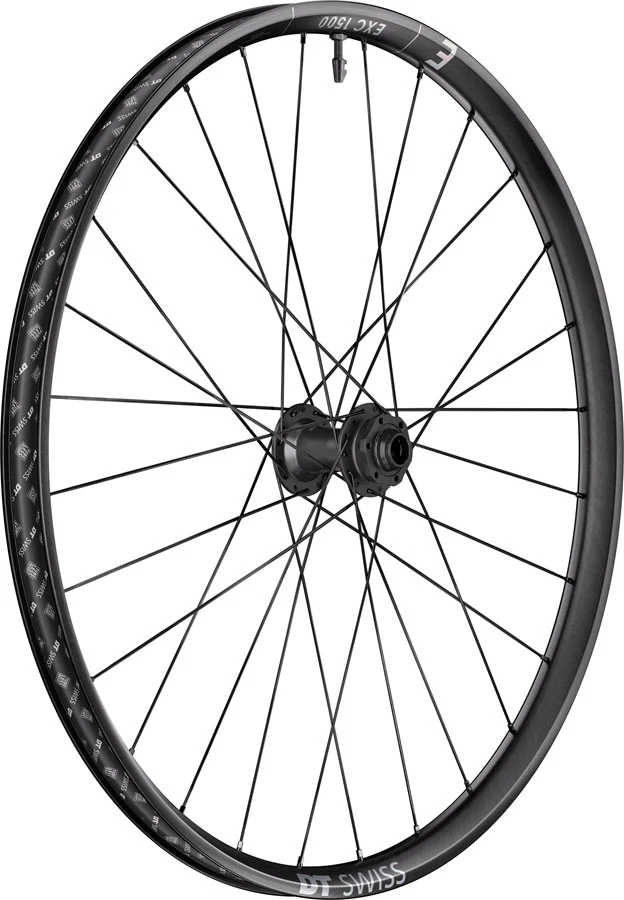 DT Swiss EXC 1500 Classic 30 Front Wheel - 29" 20 x 110mm DH Boost 6-Bolt BLK
