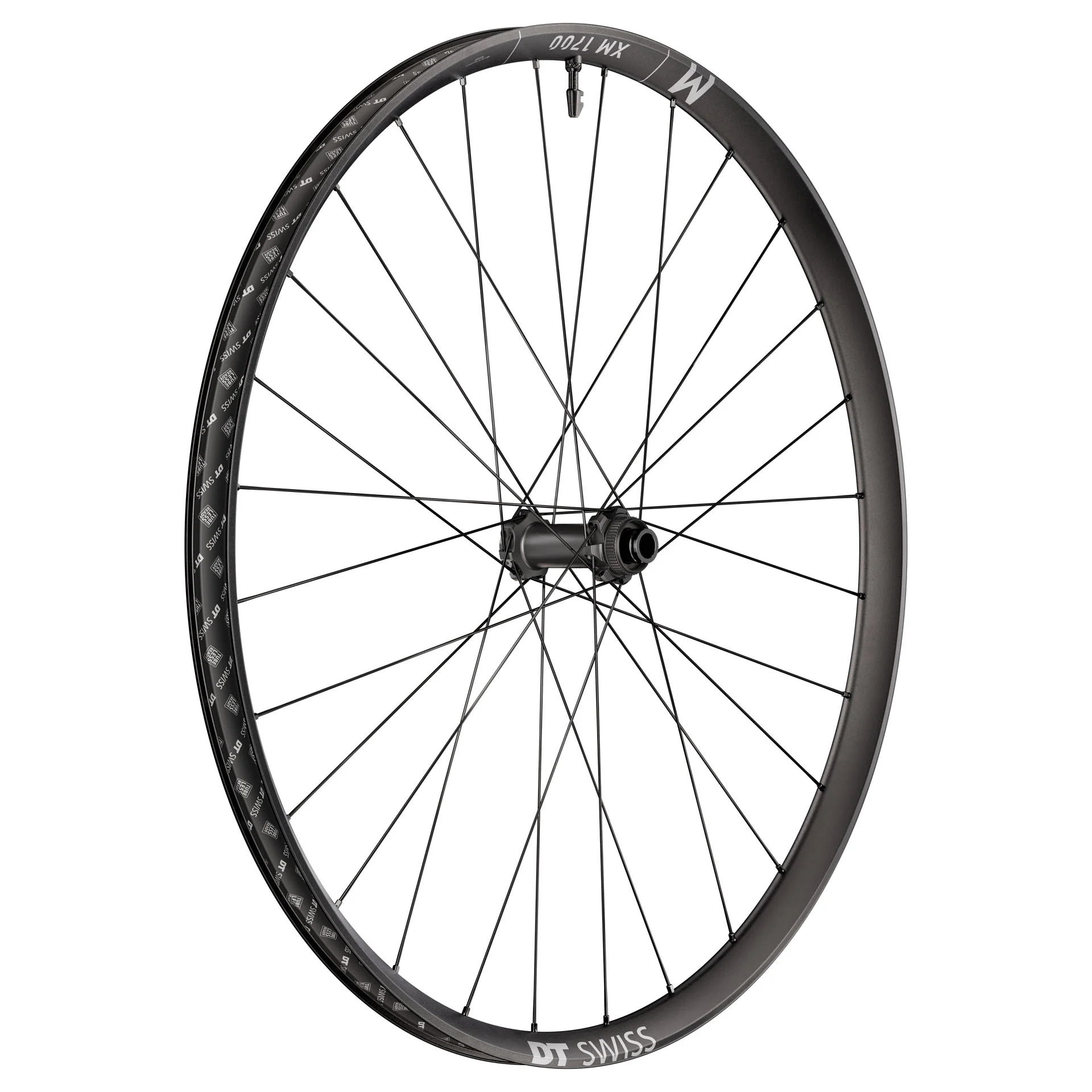 DT Swiss XM 1700 Spline 30 Front Wheel - 29" 15 x 110mm Center-Lock Black