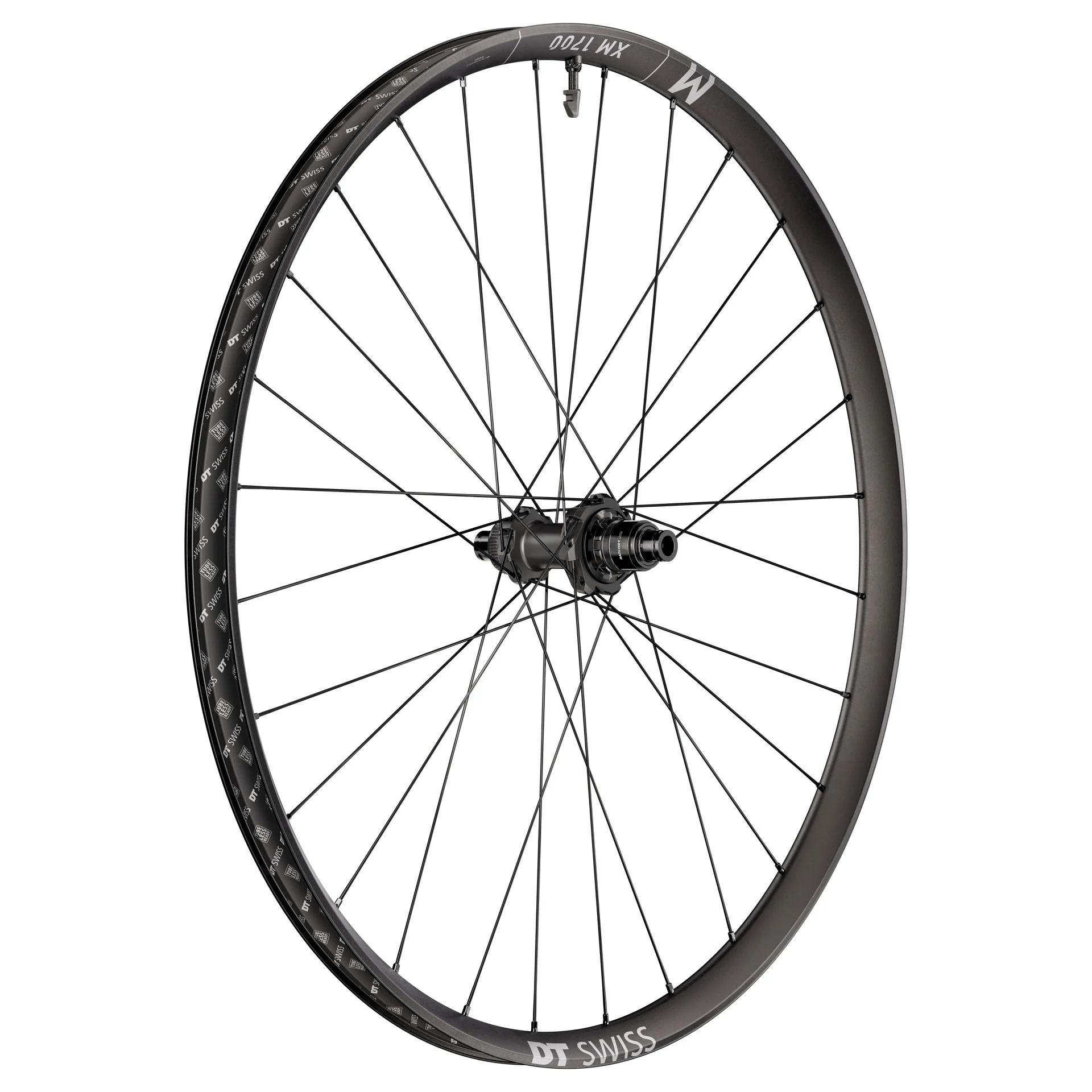 DT Swiss XM 1700 Spline 30 Rear Wheel - 29" 12 x 148mm Center-Lock XD DEG 72 DF BLK