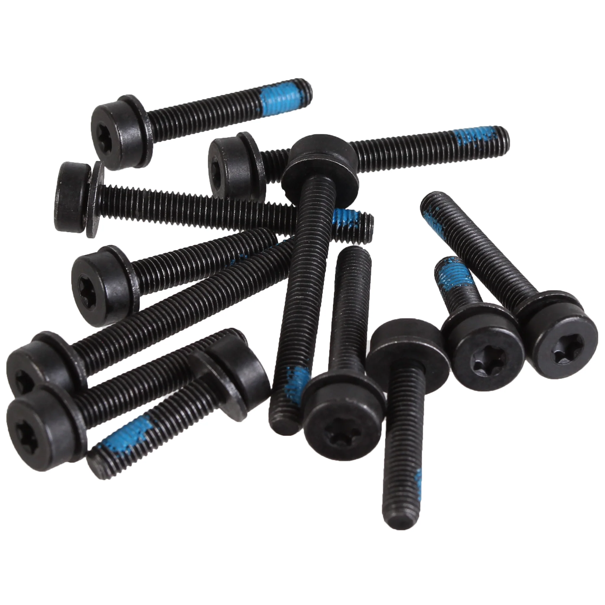 Magura T25 Flat Mount Screw Set Rear 12/Count Kit