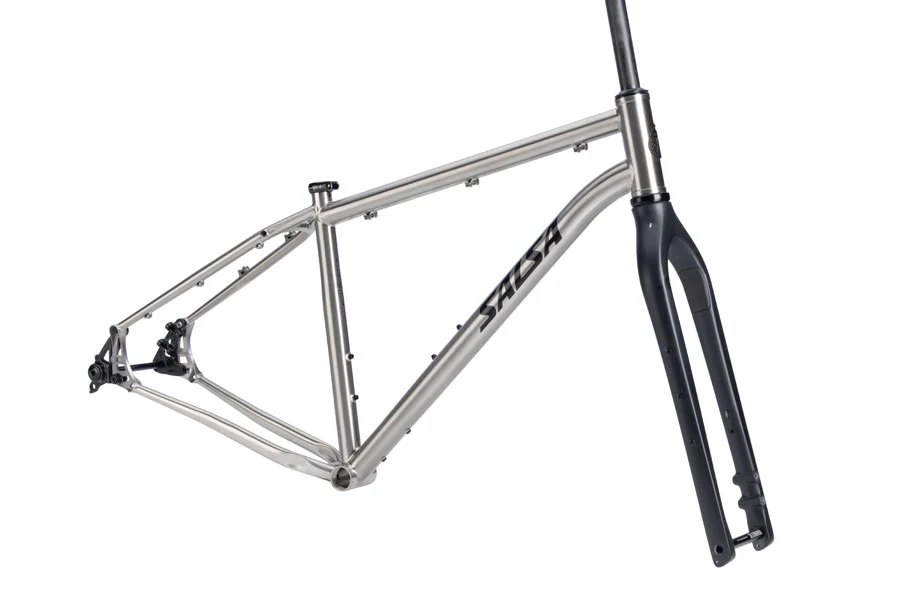 Salsa Fargo Ti Frameset - 29" Titanium Brushed Titanium X-Small