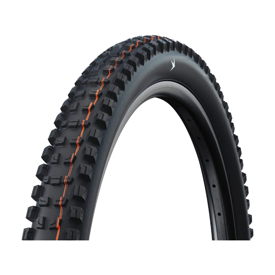 Schwalbe Romy Tire - 29 x 2.50 Tubeless Folding BLK Pro Gravity Soft Radial E-50